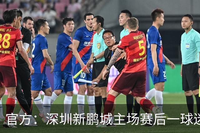 官方：深圳新鹏城主场赛后一球迷从看台跳入场内，深圳赛区被警告