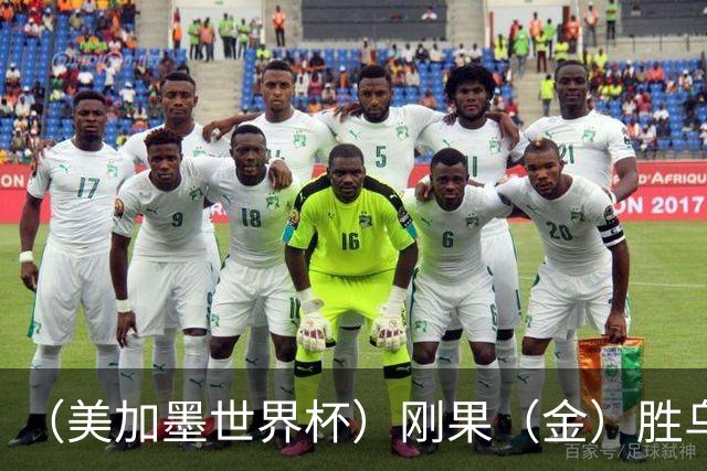 （美加墨世界杯）刚果（金）胜乌兹别克斯坦晋级 韩国无缘32强